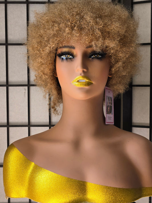 Afro wigs Human Hair no-Lace