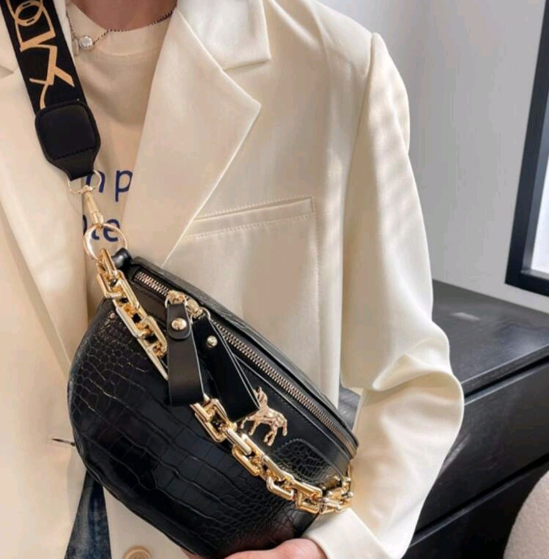 Waist & Chest Bag